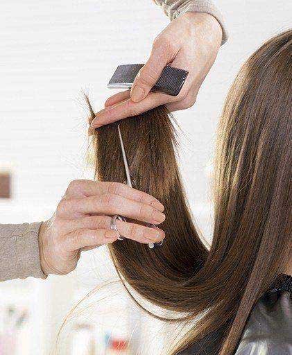 Quiz: How Often Should You Cut Your Hair? 