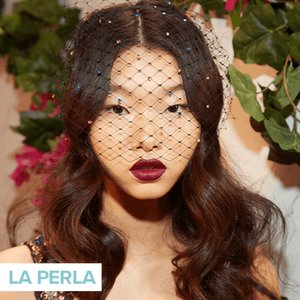 person wearing dark red lipstick and veil over face