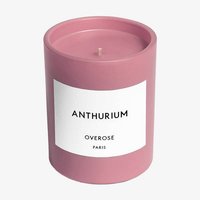 Overose Paris Pink Anthurium