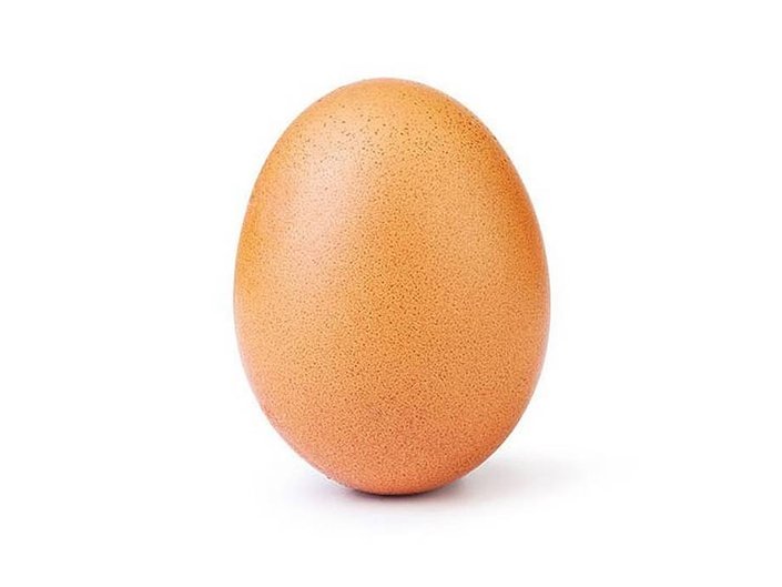 brown egg