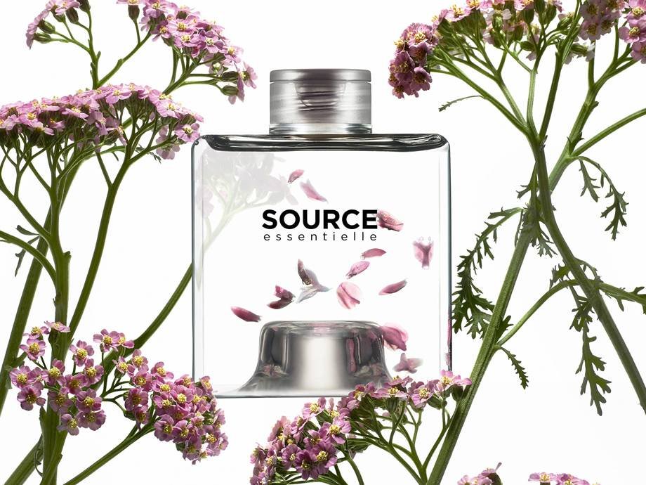 The Wait Is Over: L’Oréal Professionnel Just Launched The Source Essentielle Line in the U.S