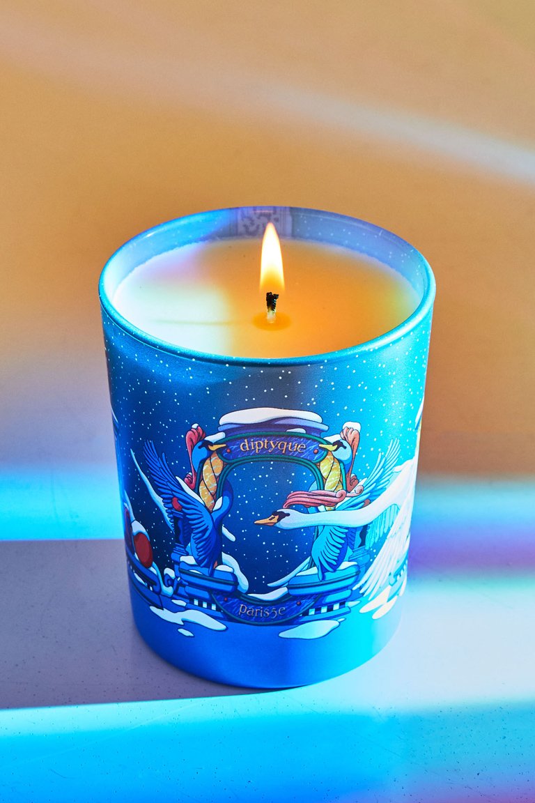 Amber feather diptyque cheap