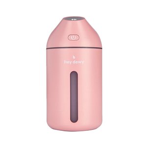 Hey Dewy Portable Facial Humidifier