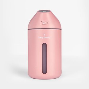 Hey Dewy Portable Facial Humidifier