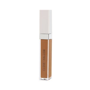 Clove + Hallow Conceal + Correct in Shade 06