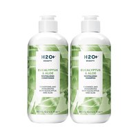 H2O+ Eucalyptus & Aloe Hair Duo